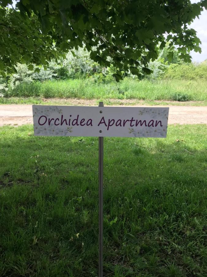 Orchidea Apartman Hegyko Ngoại thất bức ảnh